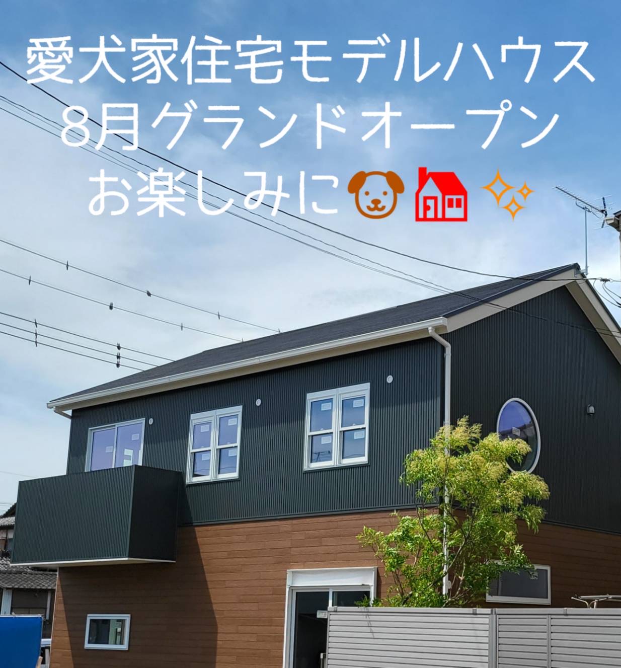 【お知らせ】愛犬家住宅モデルハウス8月グランドオープン!!!