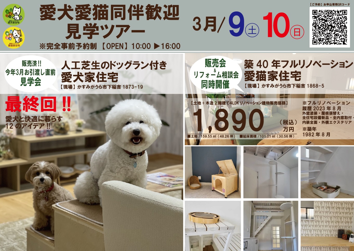 【見学ツアー】愛犬愛住宅モデルハウス（最終回）・愛猫家住宅リノベーションモデルハウス