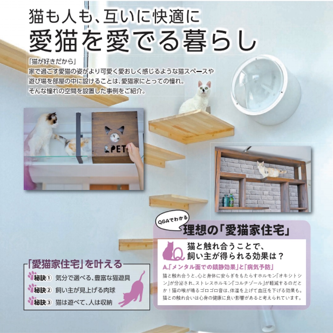 【AJN　Vol.55】理想の愛猫家住宅