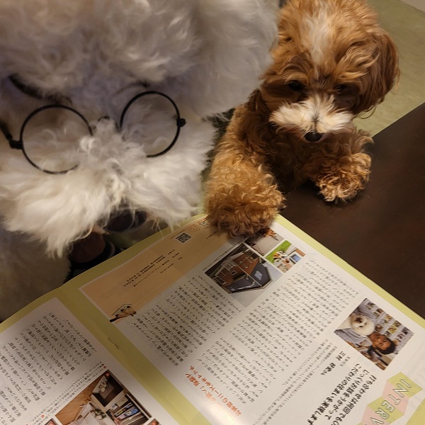【シロ＆ラテ】愛犬家住宅モデルハウスの記事が「AMILIE」に掲載されました!!!
