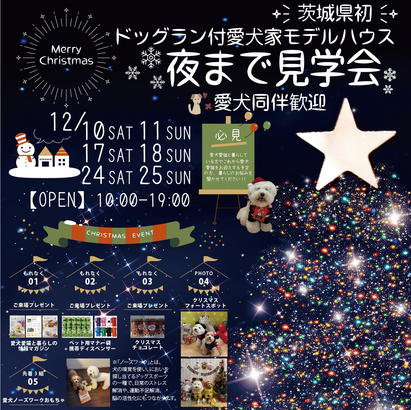 茨城県初!!!ドッグラン付愛犬家住宅モデルハウス　クリスマスイベント　夜まで見学会