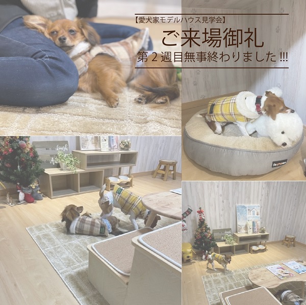 【愛犬家住宅見学会】第2週目も無事終了致しました！