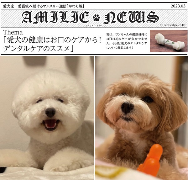 【AMILIE 2023.03】愛犬の健康はお口のケアから！デンタルケアのススメ