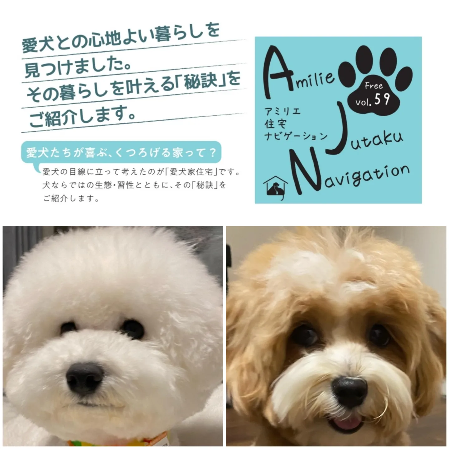 【AJN Vol.59】愛犬との暮らしをもっと、楽しくしよう！