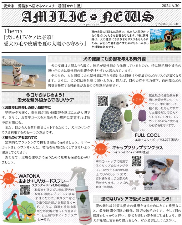 【かわら版2024年6月】愛犬にもUVケア必見!!!愛犬の毛や皮膚を夏の太陽から守ろう