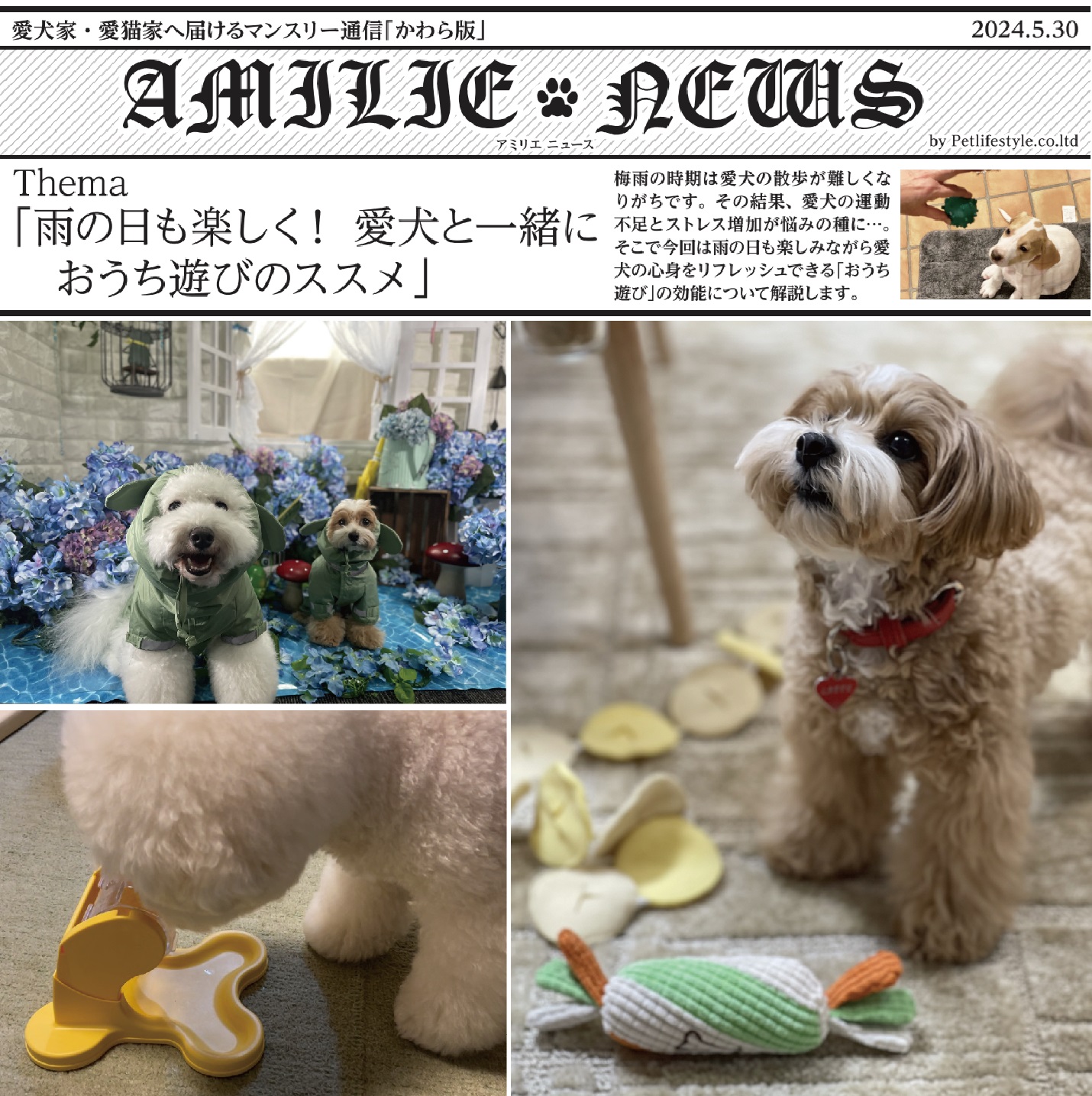 【かわら版2024年5月】雨の日も楽しく！愛犬と一緒におうち遊びのおすすめ