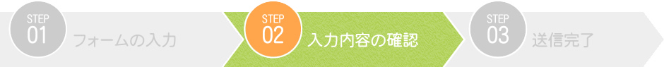 入力内容の確認