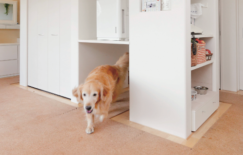 犬の導線　くぐり戸　写真