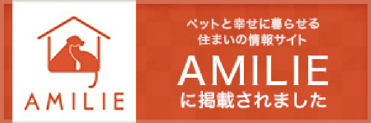 AMILIE　外部リンク　バナー